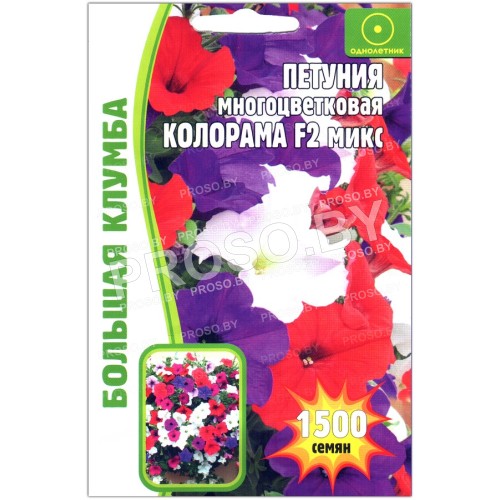 Петуния многоцветковая Колорама F2, смесь