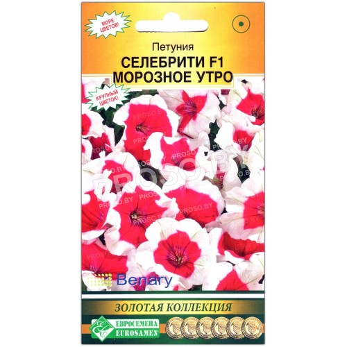 Петуния многоцветковая Селебрити морозное утро F1