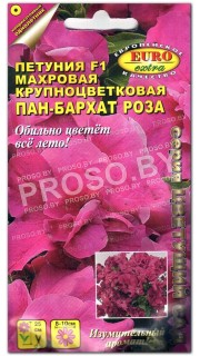 Петуния махровая Пан-бархат Роза F1