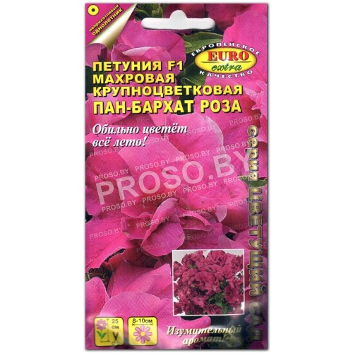 Петуния Пан-бархат Роза