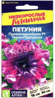 Петуния превосходнейшая Темно-пурпурная F1