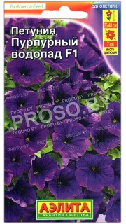 Петуния Пурпурный водопад F1