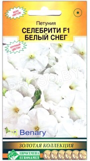 Петуния Селебрити белый снег F1