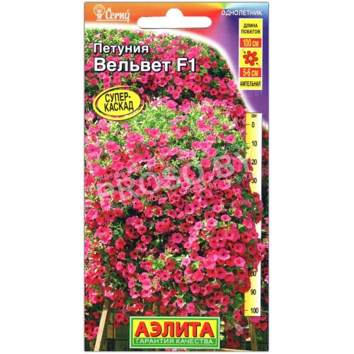 Петуния Вельвет F1