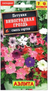 Петуния Виноградная гроздь, смесь