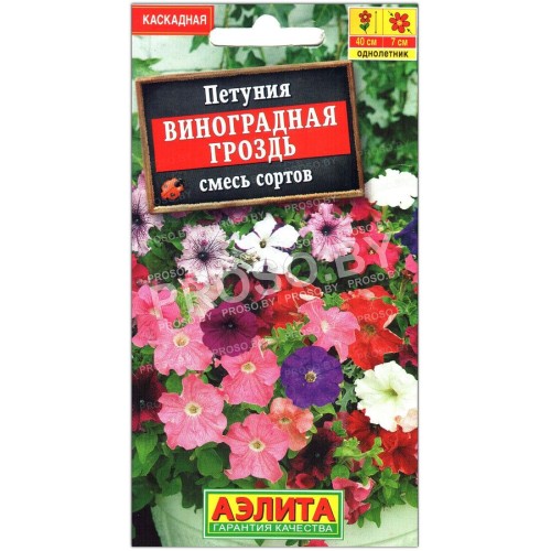 Петуния Виноградная гроздь, смесь