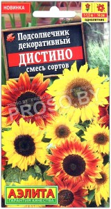 Подсолнечник декоративный Дистино, смесь
