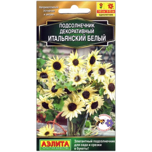 Подсолнечник декоративный Итальянский белый