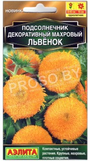 Подсолнечник декоративный Махровый львенок