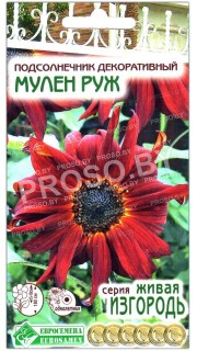 Подсолнечник декоративный Мулен руж