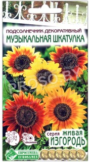 Подсолнечник декоративный Музыкальная шкатулка