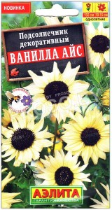 Подсолнечник декоративный Ванилла айс