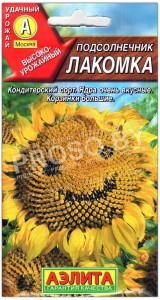 Подсолнечник Лакомка