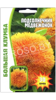 Подсолнечник Медвежонок