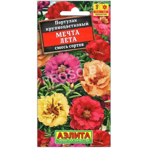 Портулак крупноцветковый Мечта лета, смесь