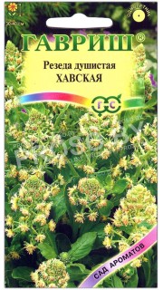 Резеда душистая Хавская