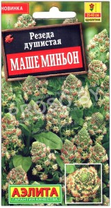 Резеда душистая Маше миньон