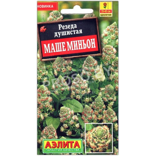Резеда душистая Маше миньон