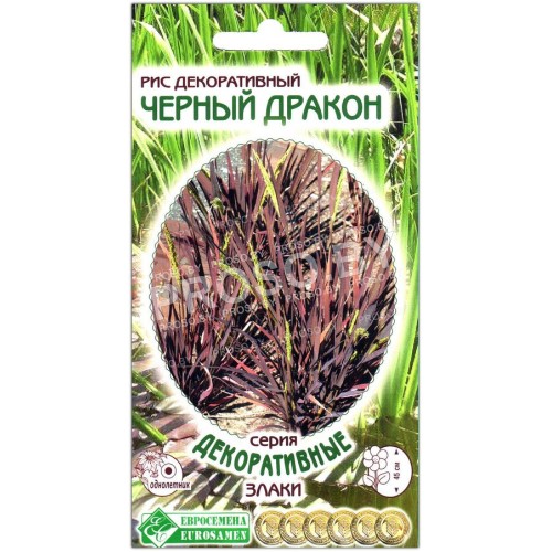 Рис декоративный Черный дракон