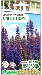 Сальвия (шалфей луговой) Синее поле