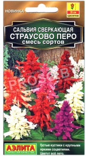 Сальвия сверкающая Страусово перо, смесь