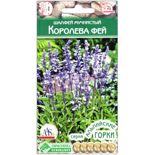 Шалфей мучнистый Королева фей