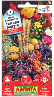Смесь сухоцветов Зимняя радуга