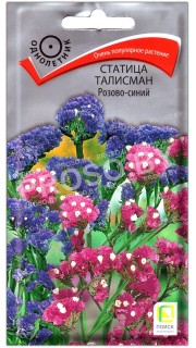 Статица Талисман розово-синий