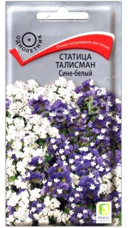 Статица Талисман сине-белый