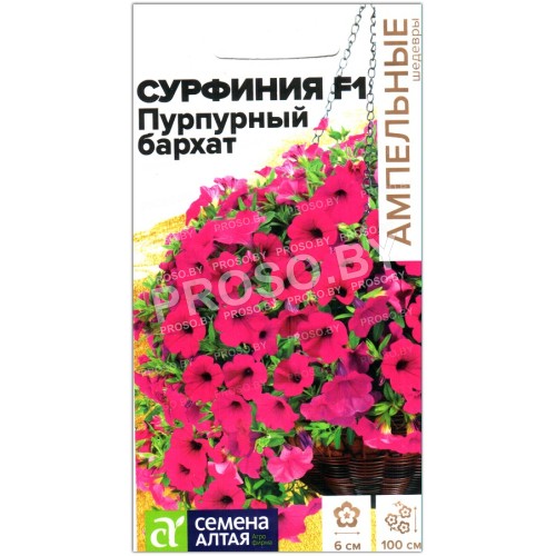 Сурфиния Пурпурный бархат F1
