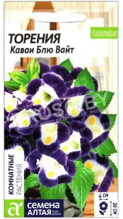 Торения Каваи блю вайт
