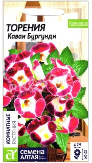 Торения Каваи бургунди