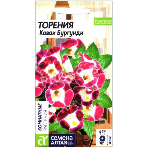 Торения Каваи бургунди