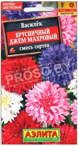 Василек Брусничный джем махровый, смесь