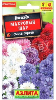 Василек Махровый шар, смесь