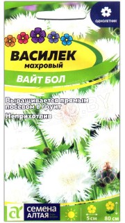 Василек Вайт бол