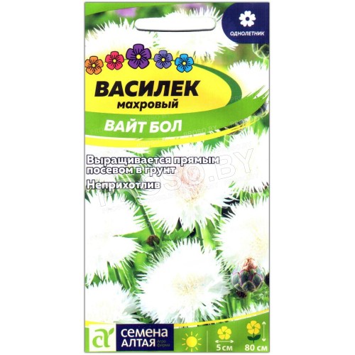 Василек Вайт бол