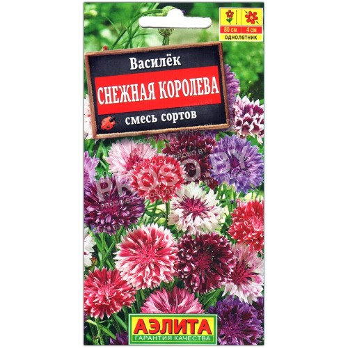 Василек Снежная королева, смесь
