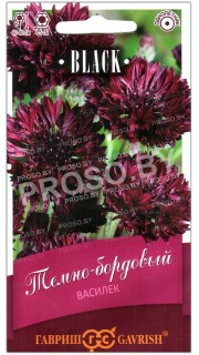 Василек Темно-бордовый
