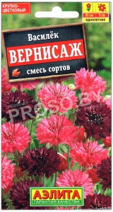 Василек Вернисаж, смесь