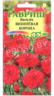 Василек Вишневая корона