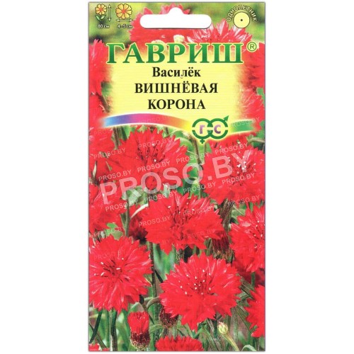 Василек Вишневая корона