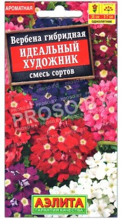 Вербена гибридная Идеальный художник, смесь