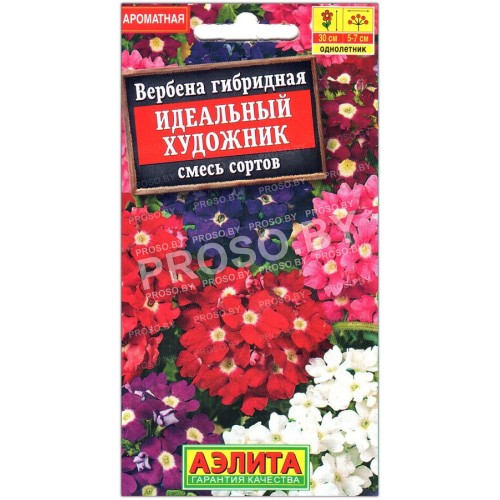 Вербена гибридная Идеальный художник, смесь