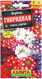 Вербена Гибридная, смесь