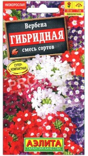 Вербена Гибридная, смесь