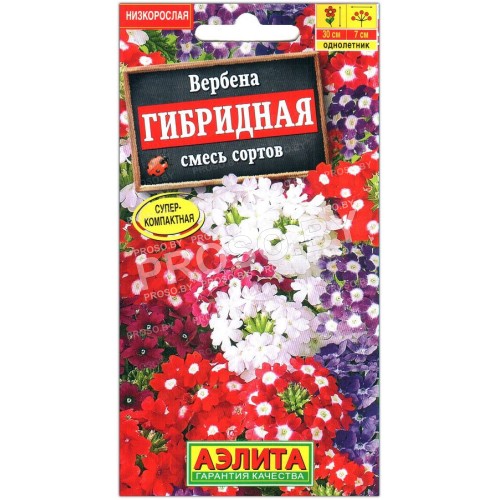 Вербена Гибридная, смесь