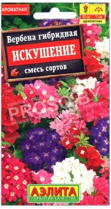 Вербена гибридная Искушение, смесь