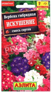 Вербена гибридная Искушение, смесь