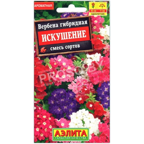 Вербена гибридная Искушение, смесь